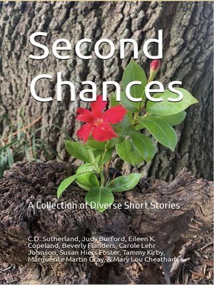 cover image of Second Chances